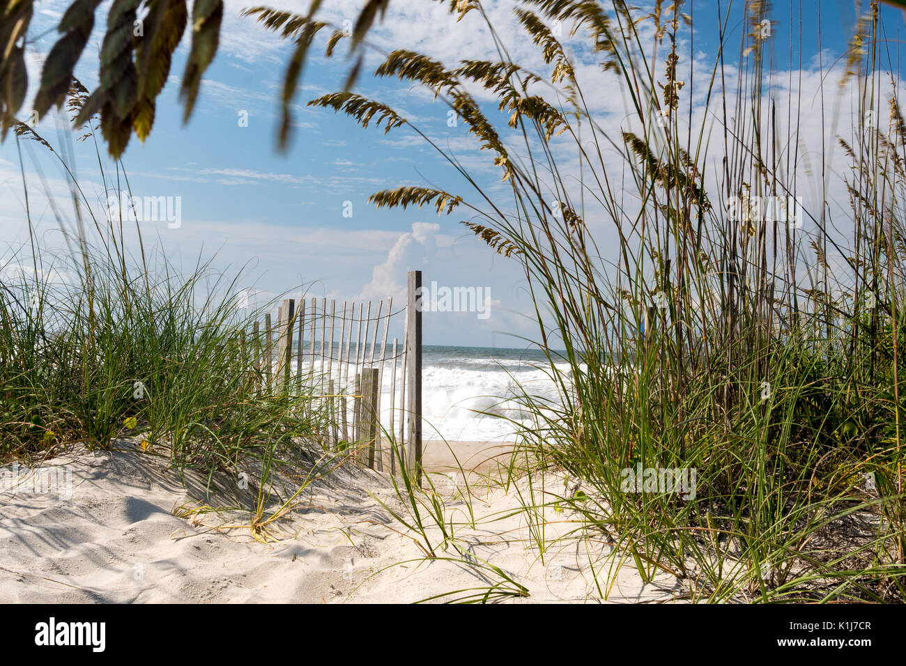 Crystal Coast - Emerald Isle Sea Oats et des dunes de sable menant à l'océan vagues avec ciel bleu. Vacances à la plage en été, OBX NC. Banque D'Images