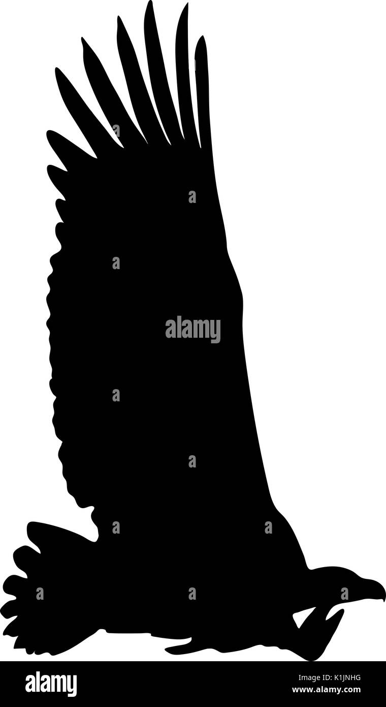 Vue sur la silhouette d'un vautour africain Illustration de Vecteur
