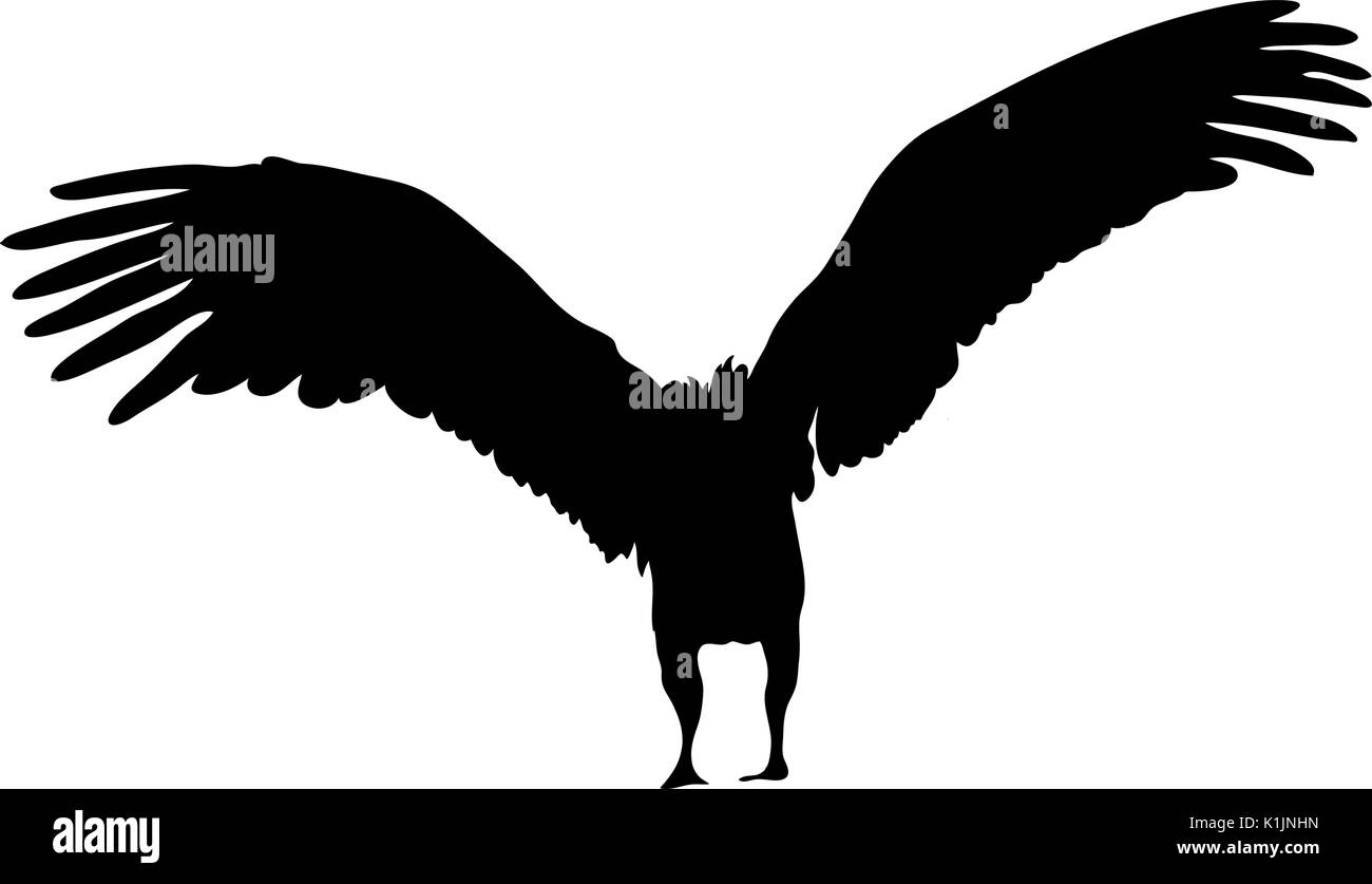 Vue sur la silhouette d'un vautour africain Illustration de Vecteur