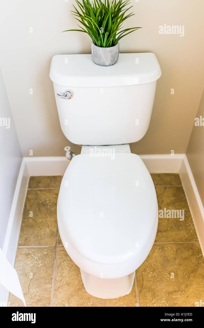 Blanc propre moderne toilettes dans salle de bain avec toilette rouleau de  papier et plante verte Photo Stock - Alamy