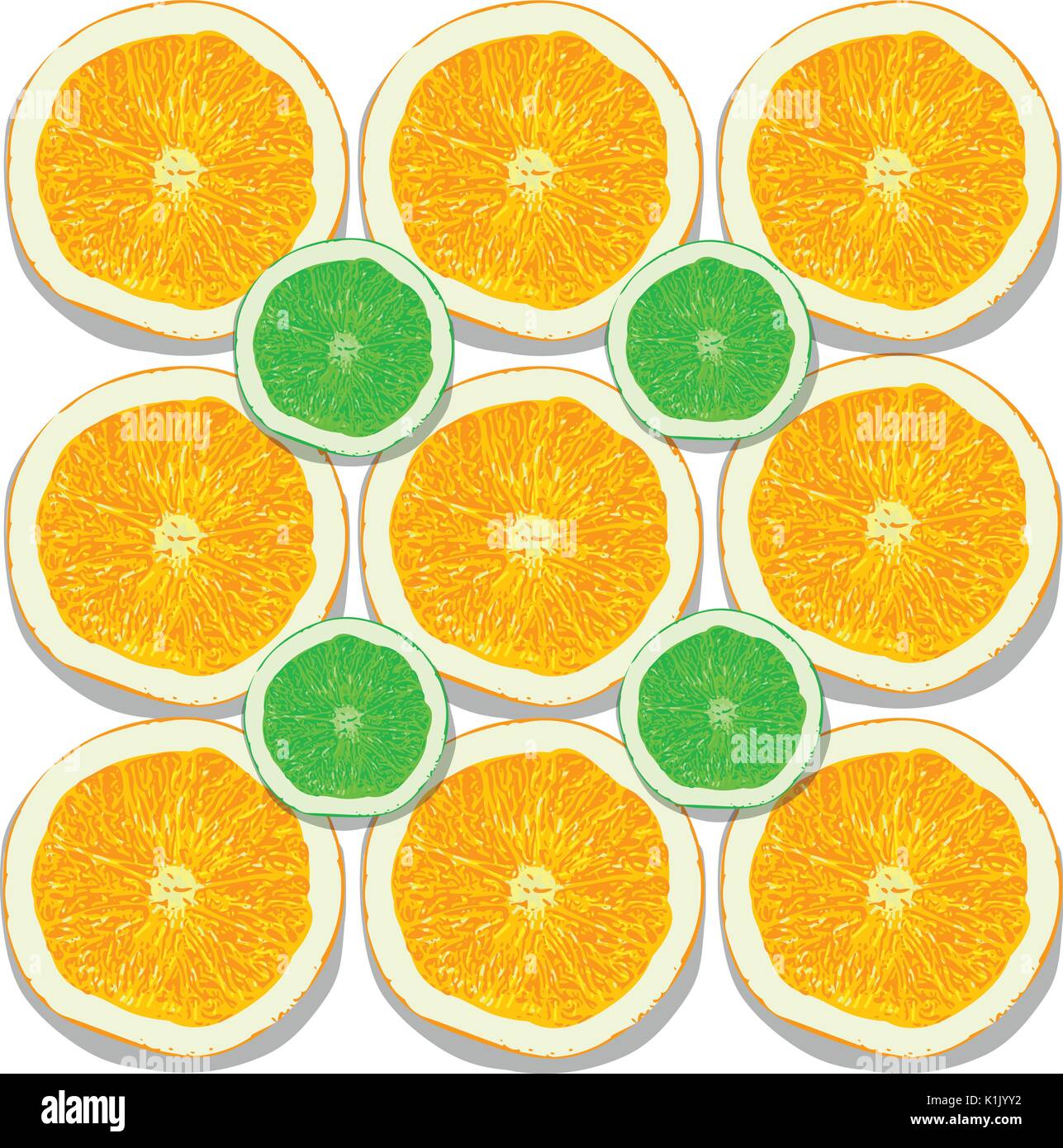 Tranches de citron et d'orange sur fond blanc vector illustration Illustration de Vecteur