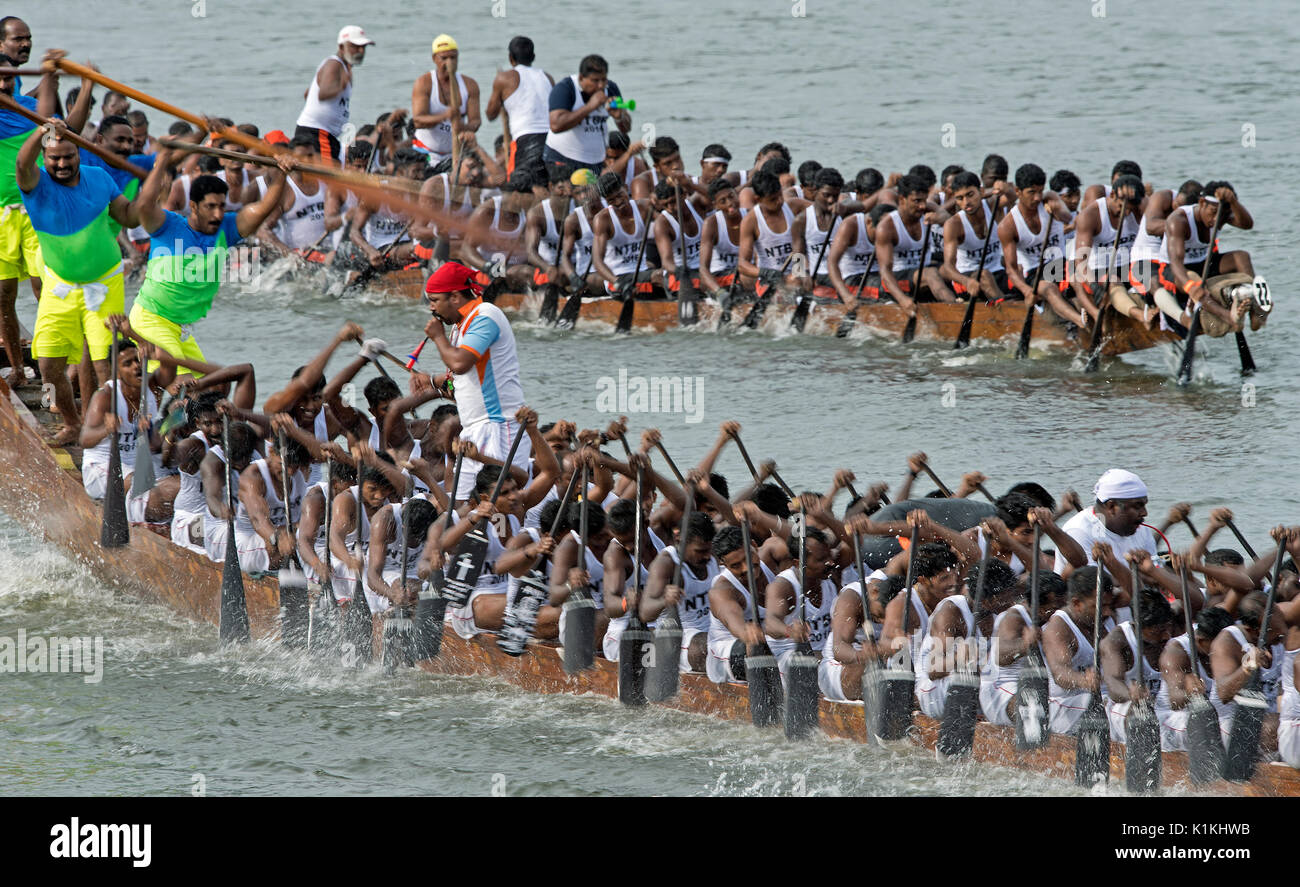 L'image d'hommes serpent aviron bateau en bateau Nehru, le jour de la course, Allaepy Punnamda Lake, le Kerala Inde Banque D'Images