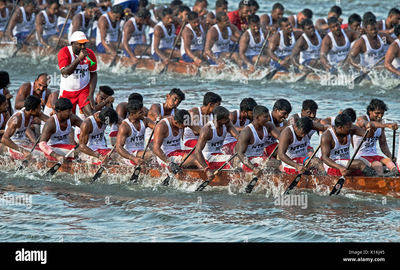 L'image d'hommes serpent aviron bateau en bateau Nehru, le jour de la course, Allaepy Punnamda Lake, le Kerala Inde Banque D'Images