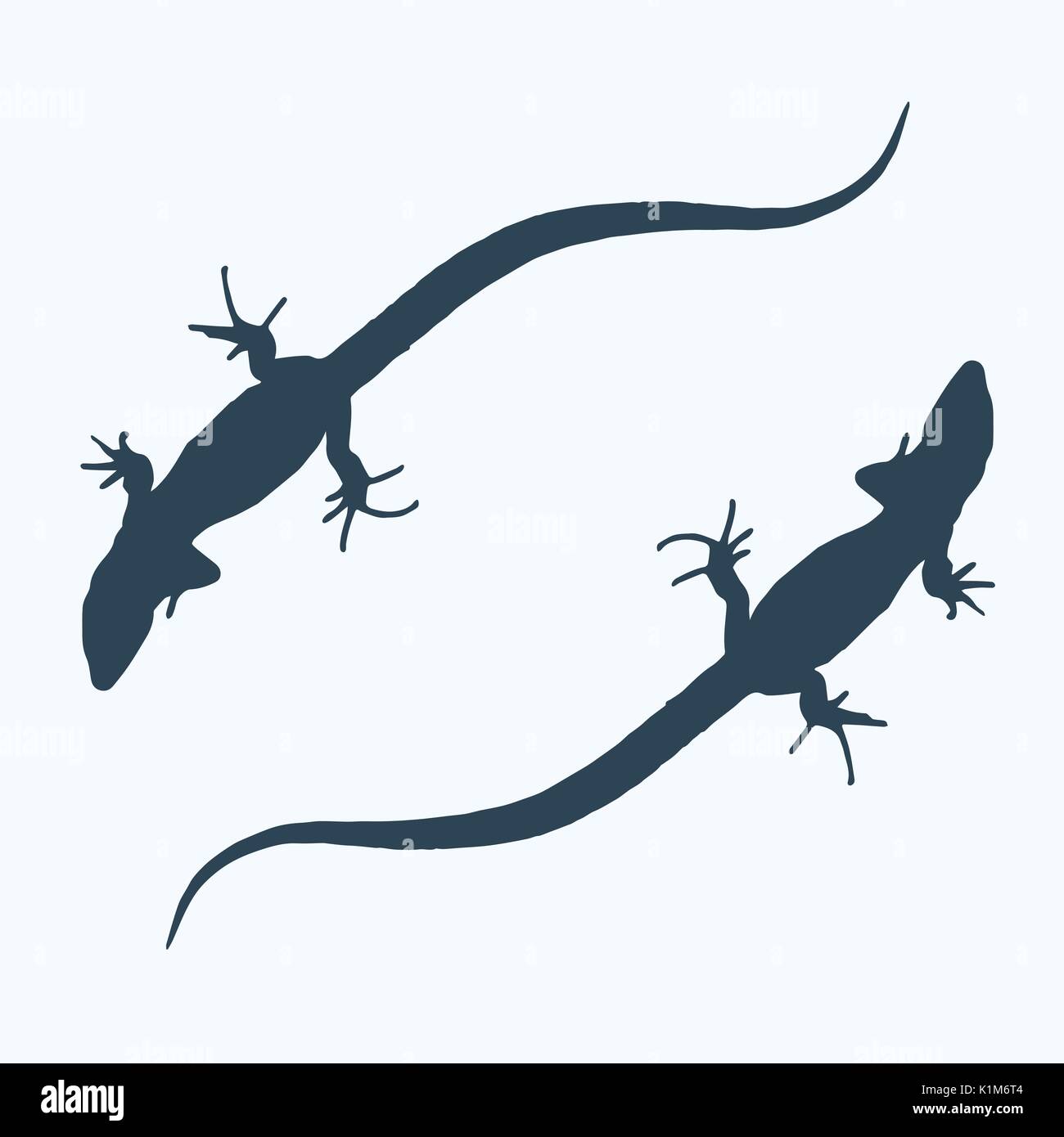 Silhouette d'un lézard qui se meut. Vector Illustration. Illustration de Vecteur