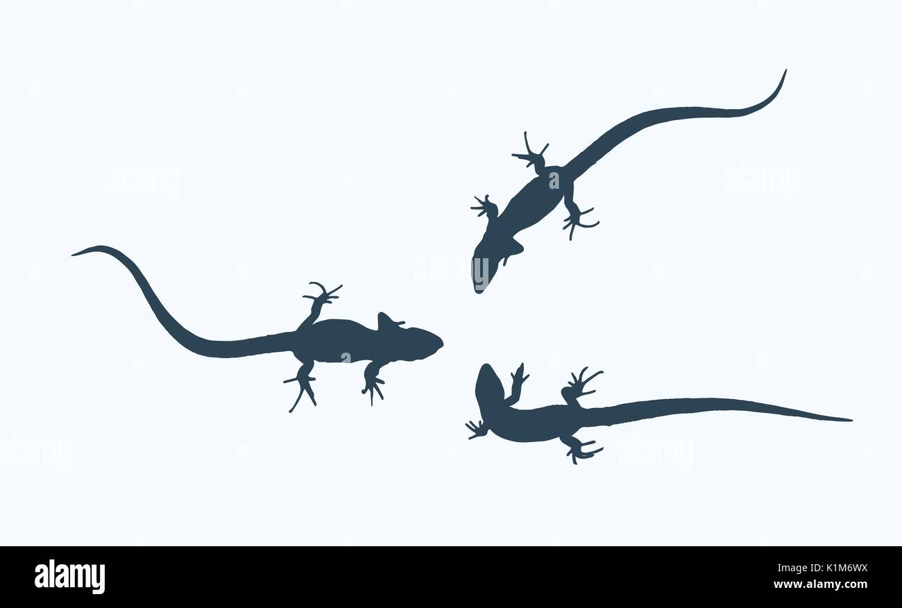 Silhouette d'un lézard qui se meut. Vector Illustration. Illustration de Vecteur