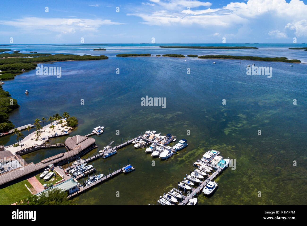 Florida,Florida Keys,Upper,Islamorada,Florida Bay,Little Basin,Shell Key,vue aérienne au-dessus,FL17081845D Banque D'Images