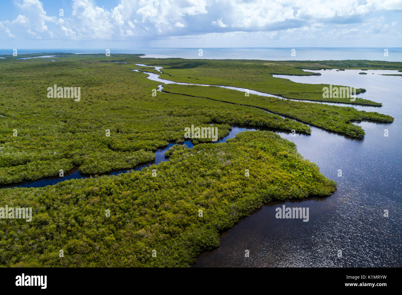 Florida,Florida Keys,Upper,Key Largo,Largo Sound,John Pennekamp Coral Reef State Park,mangroves,Océan Atlantique,vue aérienne au-dessus,FL17081867D Banque D'Images