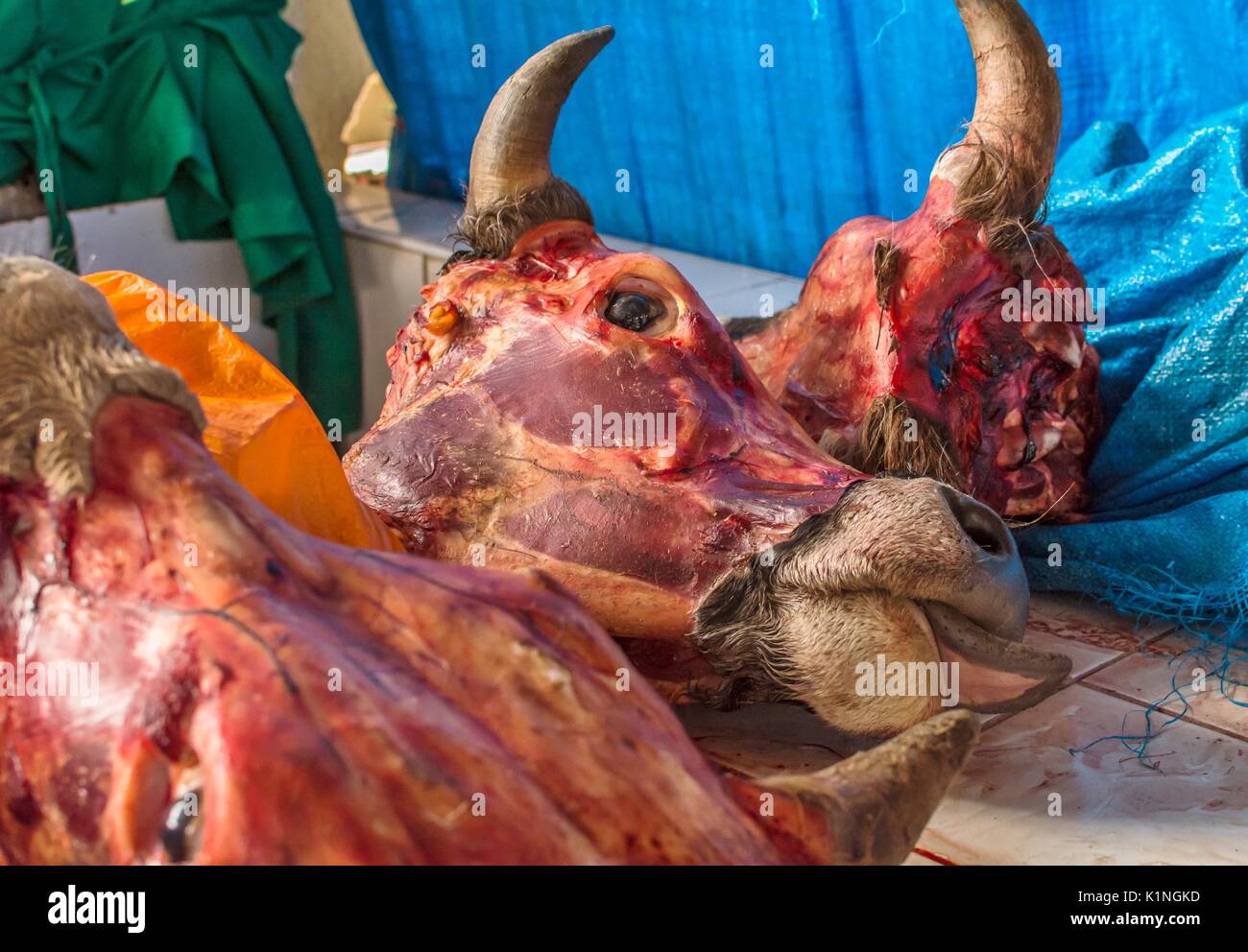 Chefs viande de vache avec des cornes en vente dans le marché local de la viande du marché San Pedro, Mercado Central de San Pedro, à Cusco, Cuzco, Pérou, Amérique du Sud. Banque D'Images