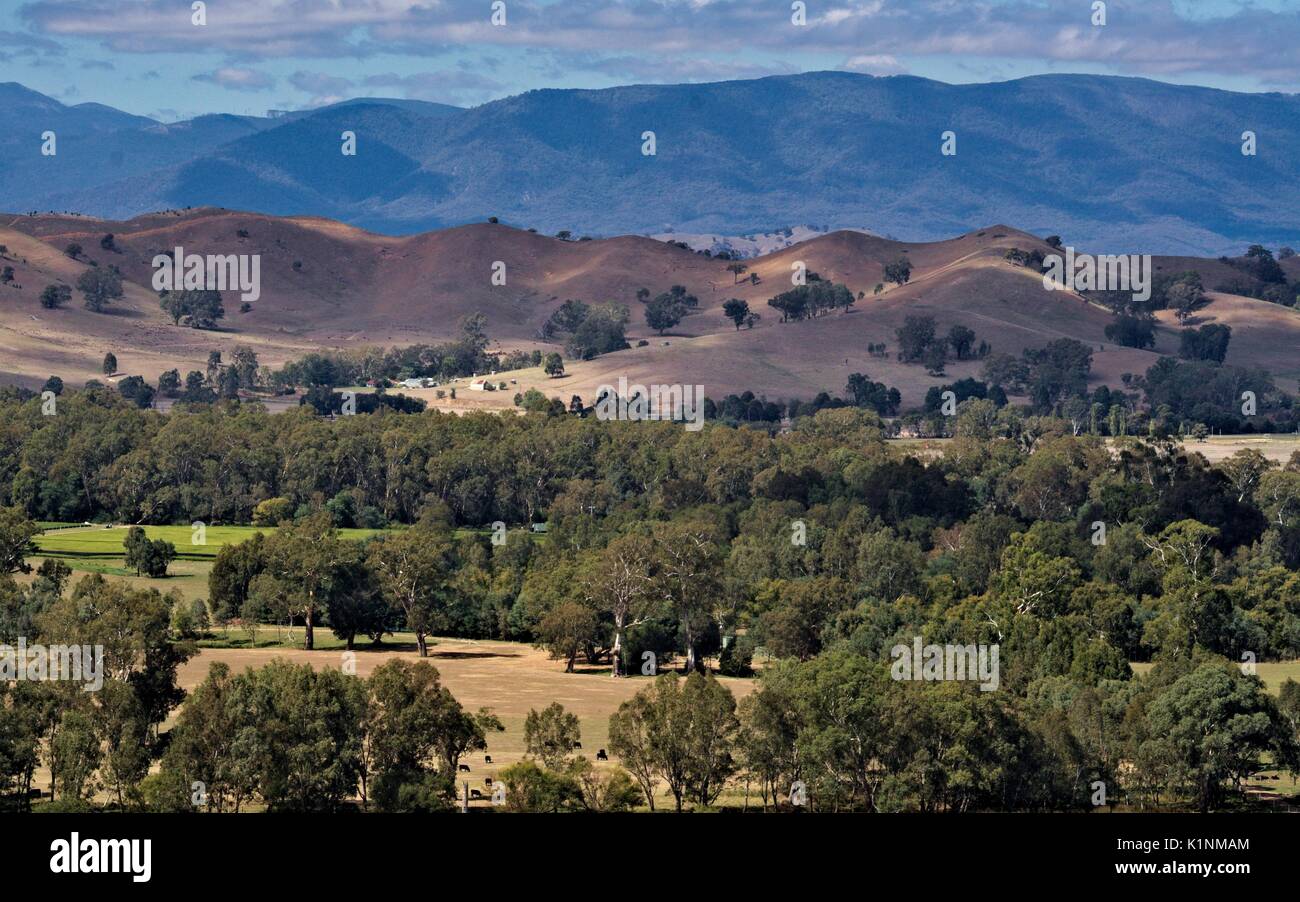 Donnant sur un paysage de collines utilisées comme terres agricoles de la fin de l'été, dans les régions rurales de l'Australie Banque D'Images