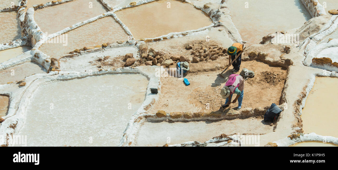 Les travailleurs des mines de sel de Maras la récolte, Pérou Banque D'Images