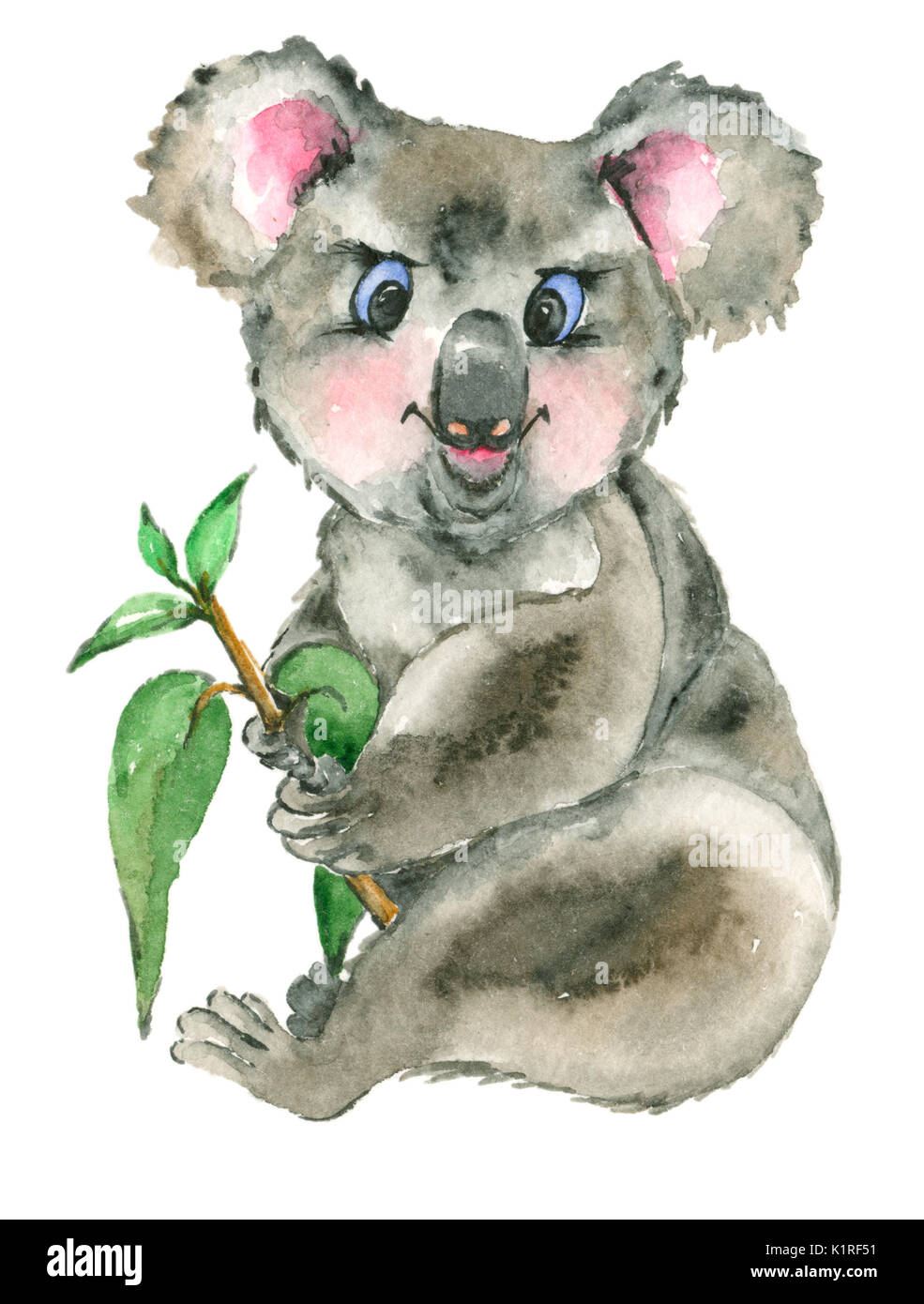Aquarelle Koala Banque D'Images
