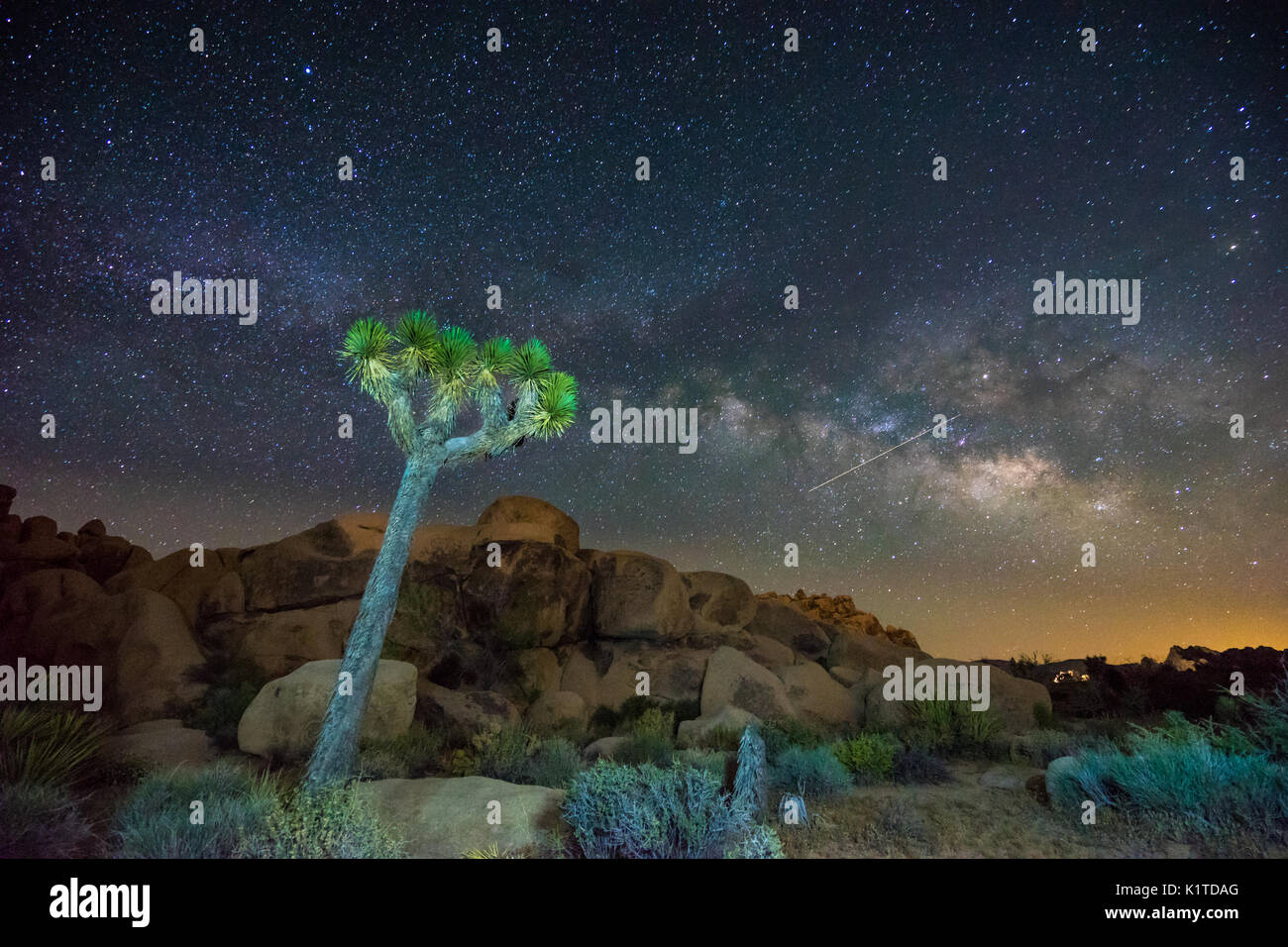 La Voie lactée et les étoiles plus de Joshua Tree National Park la nuit, California, USA Banque D'Images