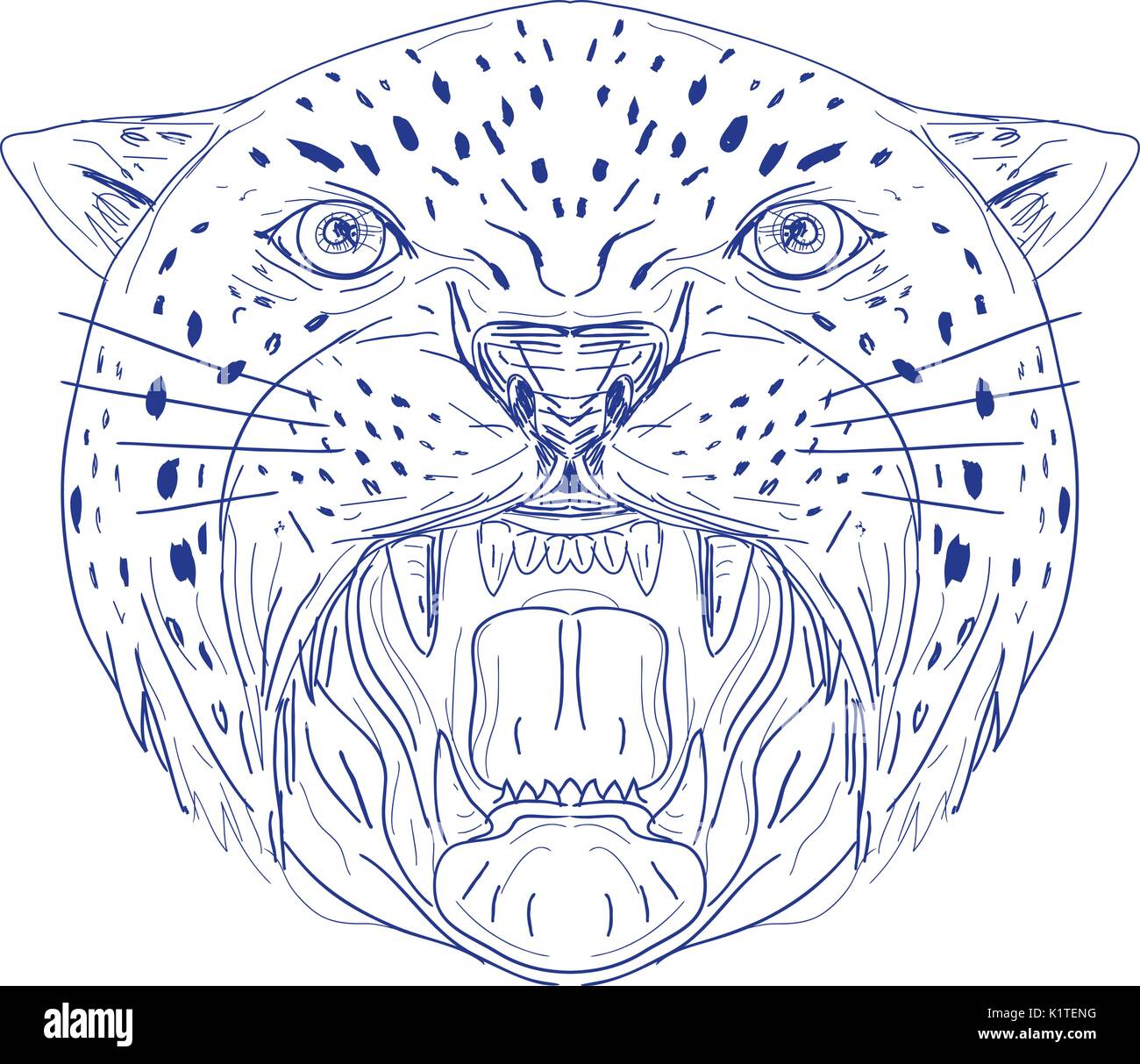 Illustration D Une Jaguar Panthere Leopard Chat Sauvage Big Cat Head Montrant Les Crocs De Ce Fait En Vue De L Avant A La Main Style De Dessin Croquis Image Vectorielle Stock Alamy