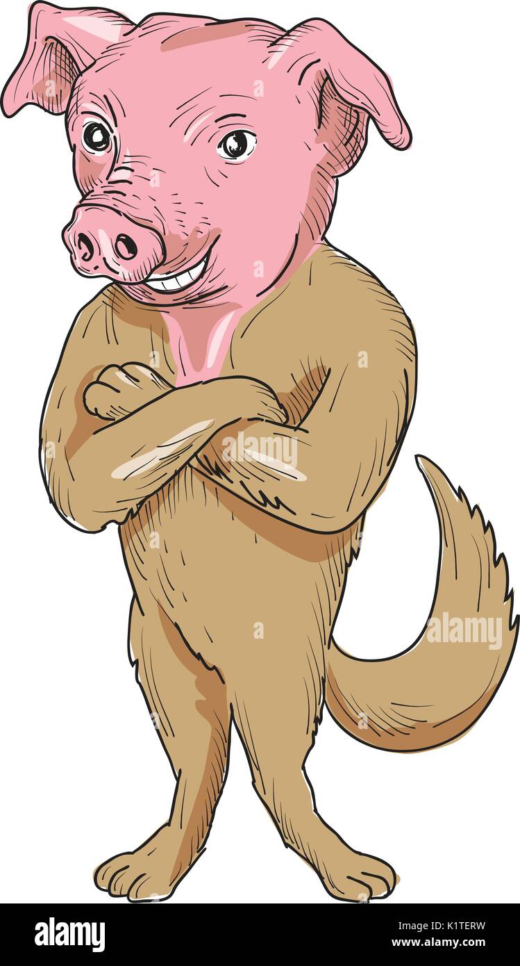 Illustration Dune Tête De Porc Avec Un Corps De Chien
