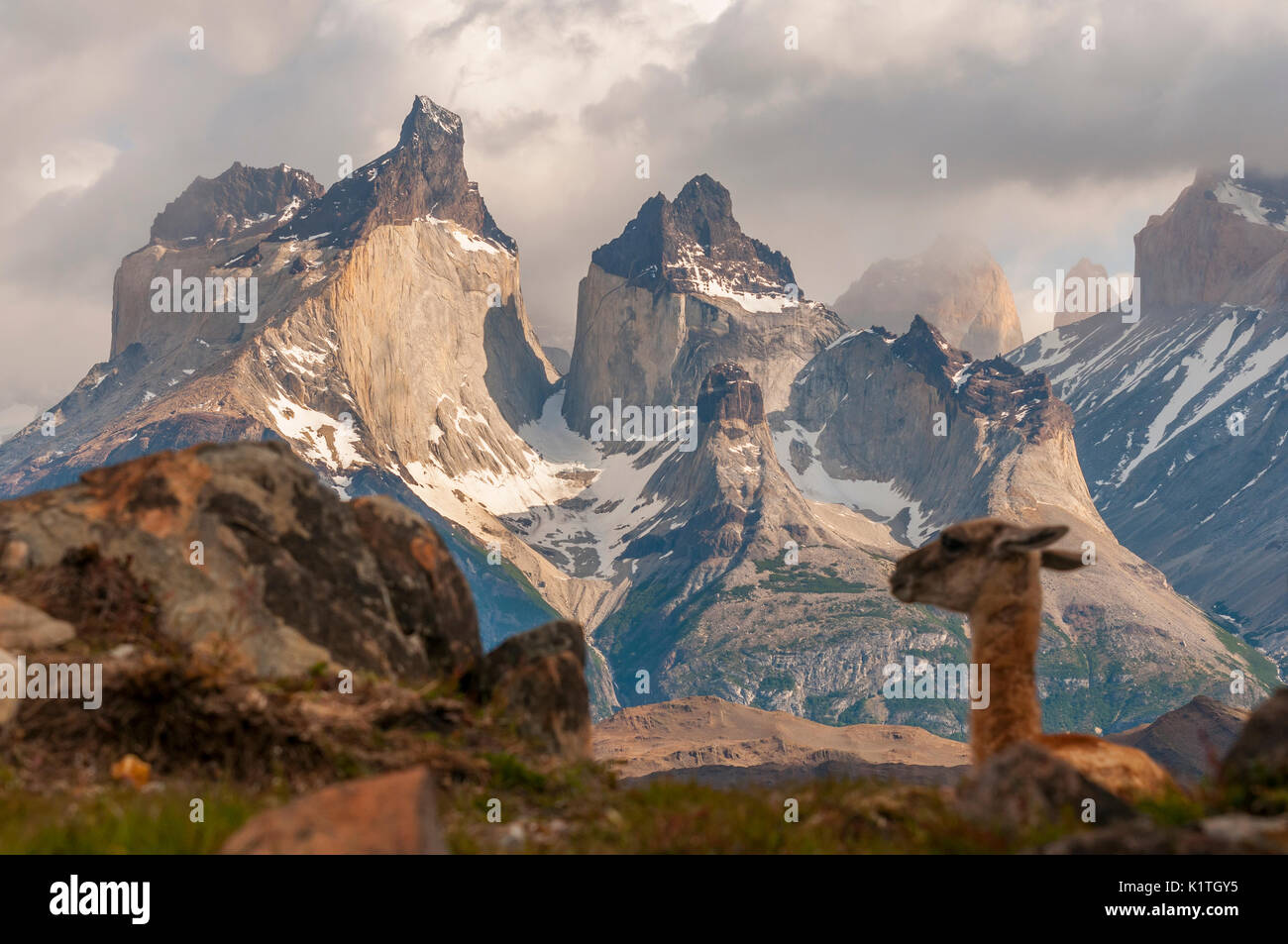 Parc National Torres del Paine, en Patagonie, au Chili. Parque Nacional Torres del Paine au Chili. Región de Magallanes. Banque D'Images