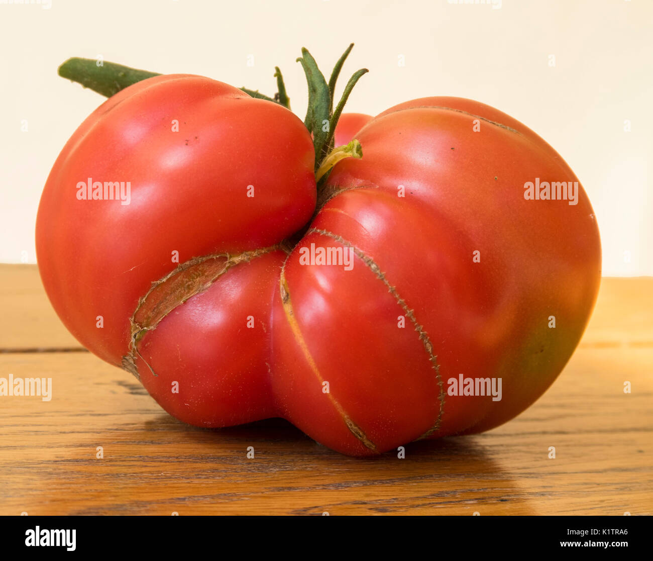 Un grand tomates,Brandy Patrimoine Vin, grandir dans une forme pliée Banque D'Images