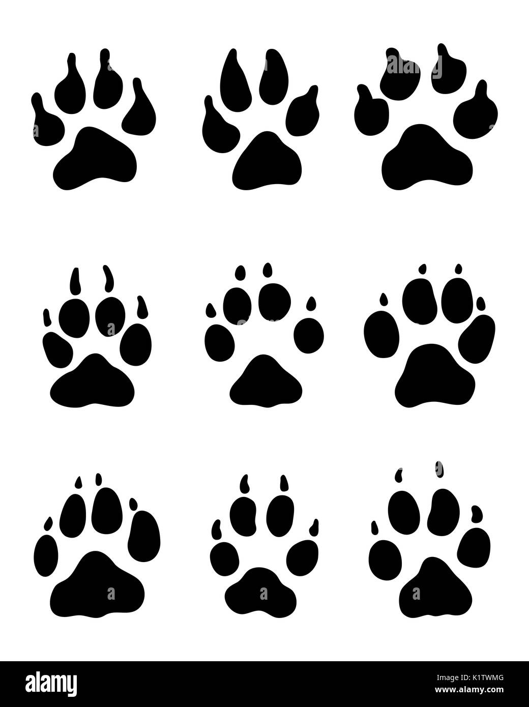 Impression noir des pattes de chiens, vector illustration Banque D'Images
