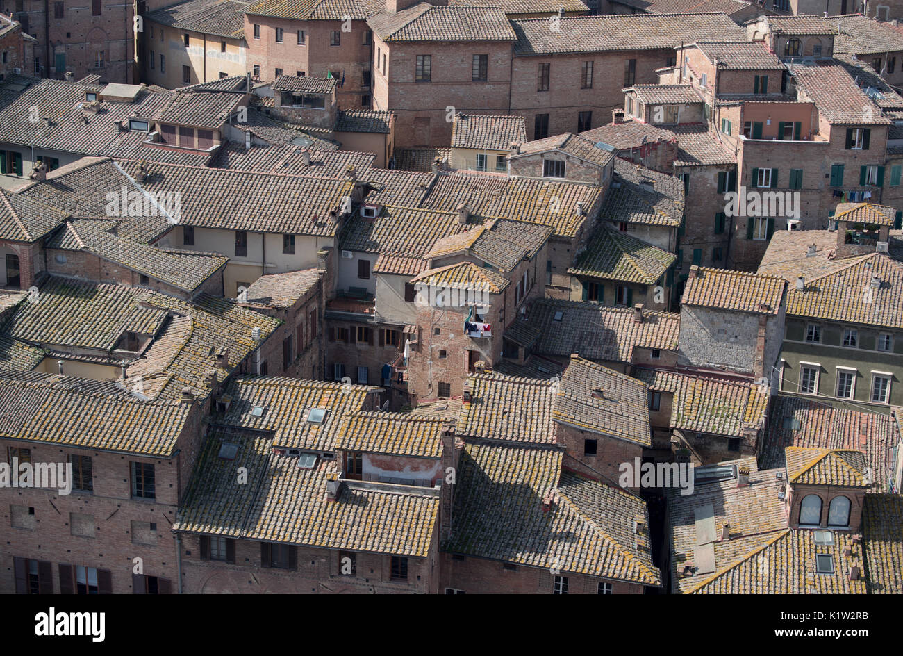 La vue sur les toits de Sienne de Torre del Mangia, Toscane, Italie Banque D'Images