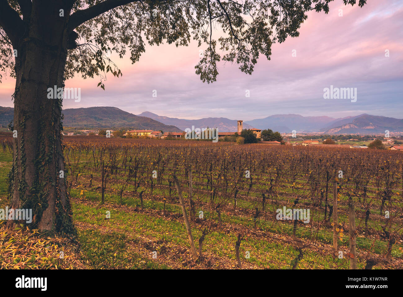 La Franciacorta, province de Brescia, Lombardie, Italie, district de l'Europe. Banque D'Images