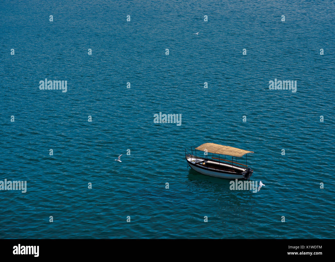 L'homme a fait voile flottant sous un ciel clair dans le lac d'ohrid pure croisière à travers les eaux froides dans entre les oiseaux comme vu à partir d'un étage supérieur. Banque D'Images