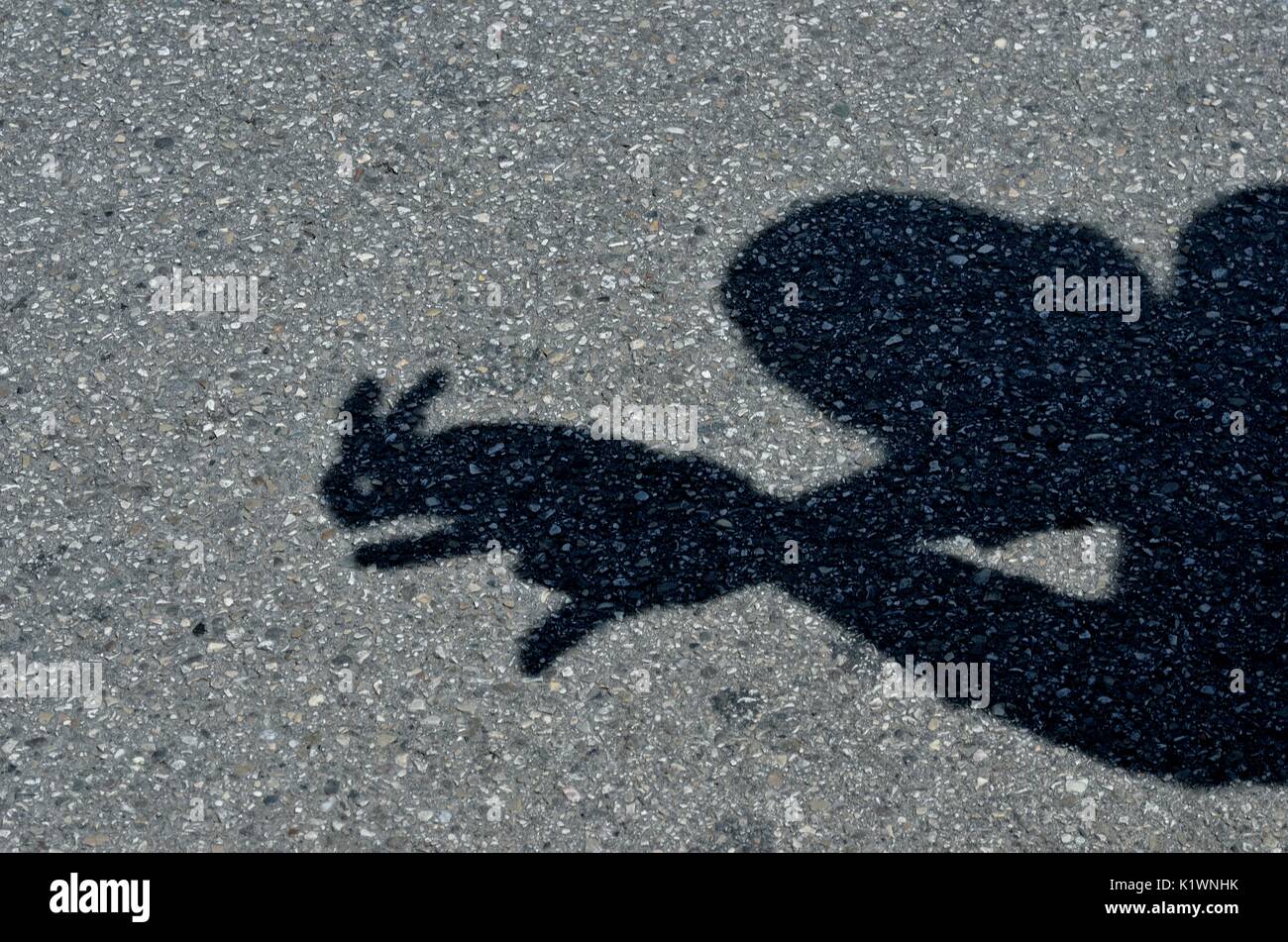 L'Art à la main - création d'un graphique depuis d'ombres sur la surface de la rue à l'aide de mains, Mestre, Italie, Europe Banque D'Images