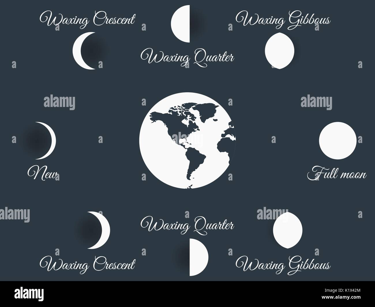 Les phases de la lune. L'ensemble du cycle à partir de la nouvelle lune à la pleine. Vector illustration. Illustration de Vecteur