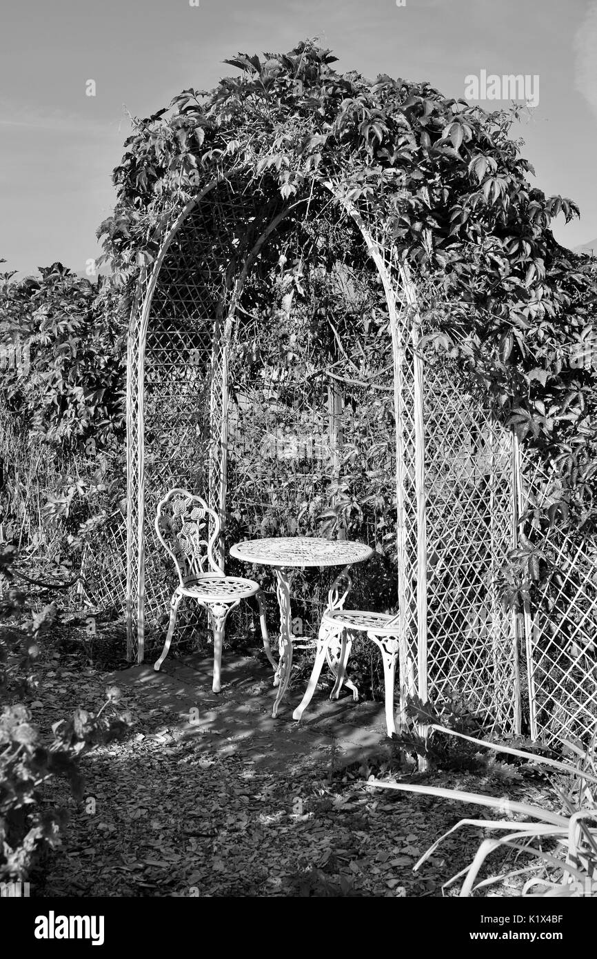 Table et chaises sous arche blanche avec des vignes sur elle en noir et blanc Banque D'Images