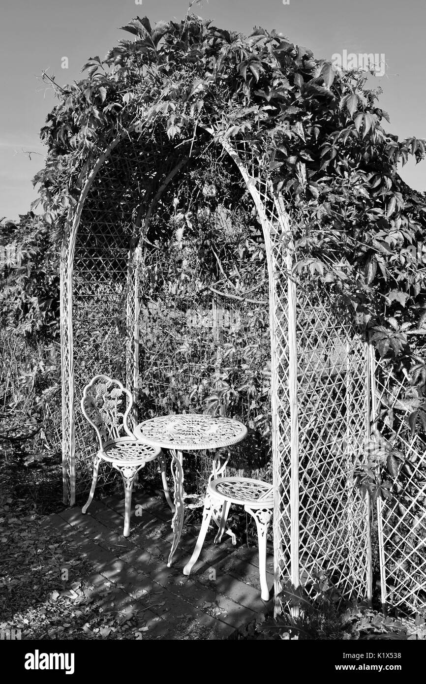Table et chaises sous arche blanche avec des vignes sur elle en noir et blanc Banque D'Images