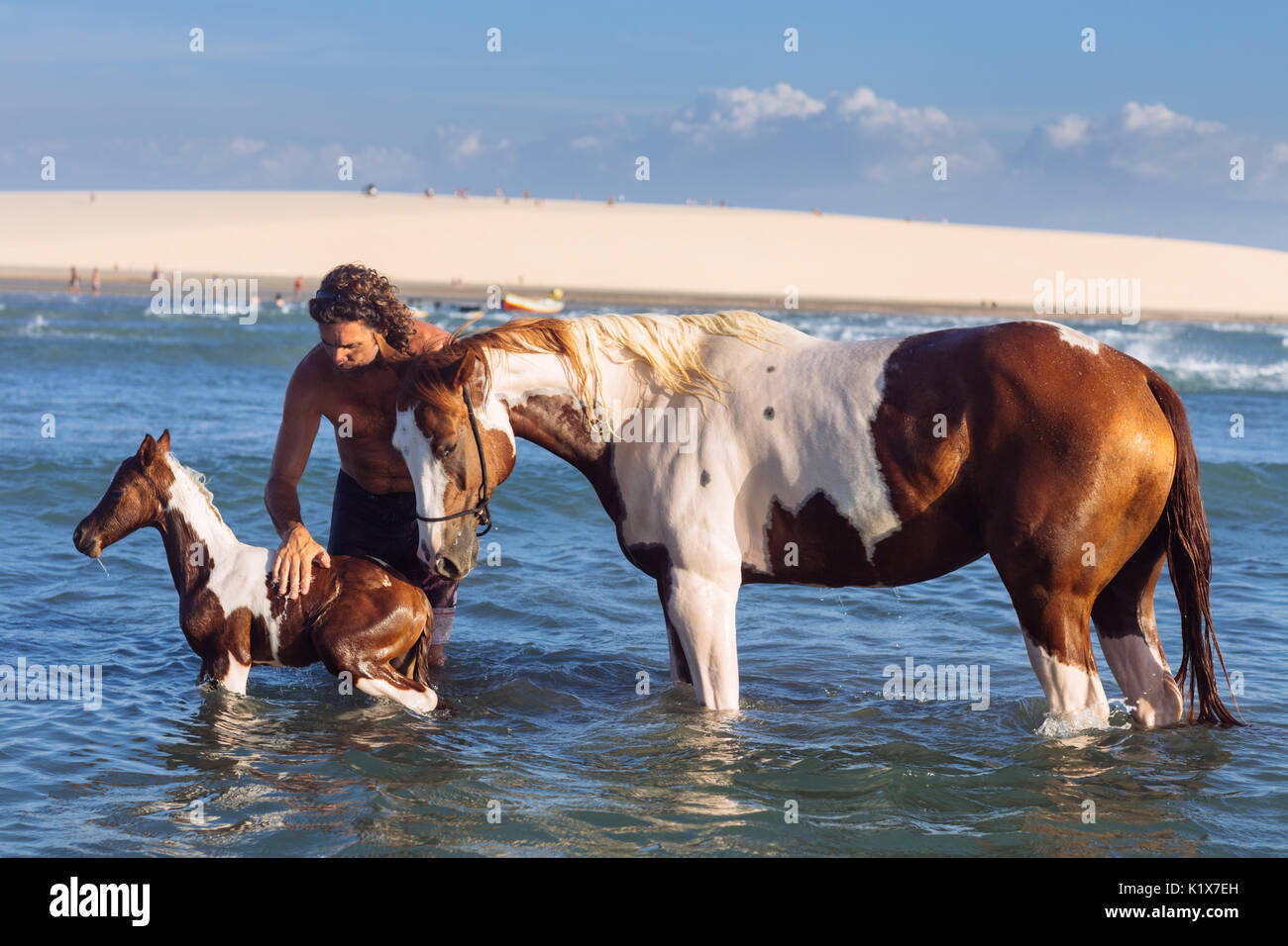 Un homme lave un cheval et ses déchets dans la mer à Jericoacoara, Ceará, Brésil Banque D'Images