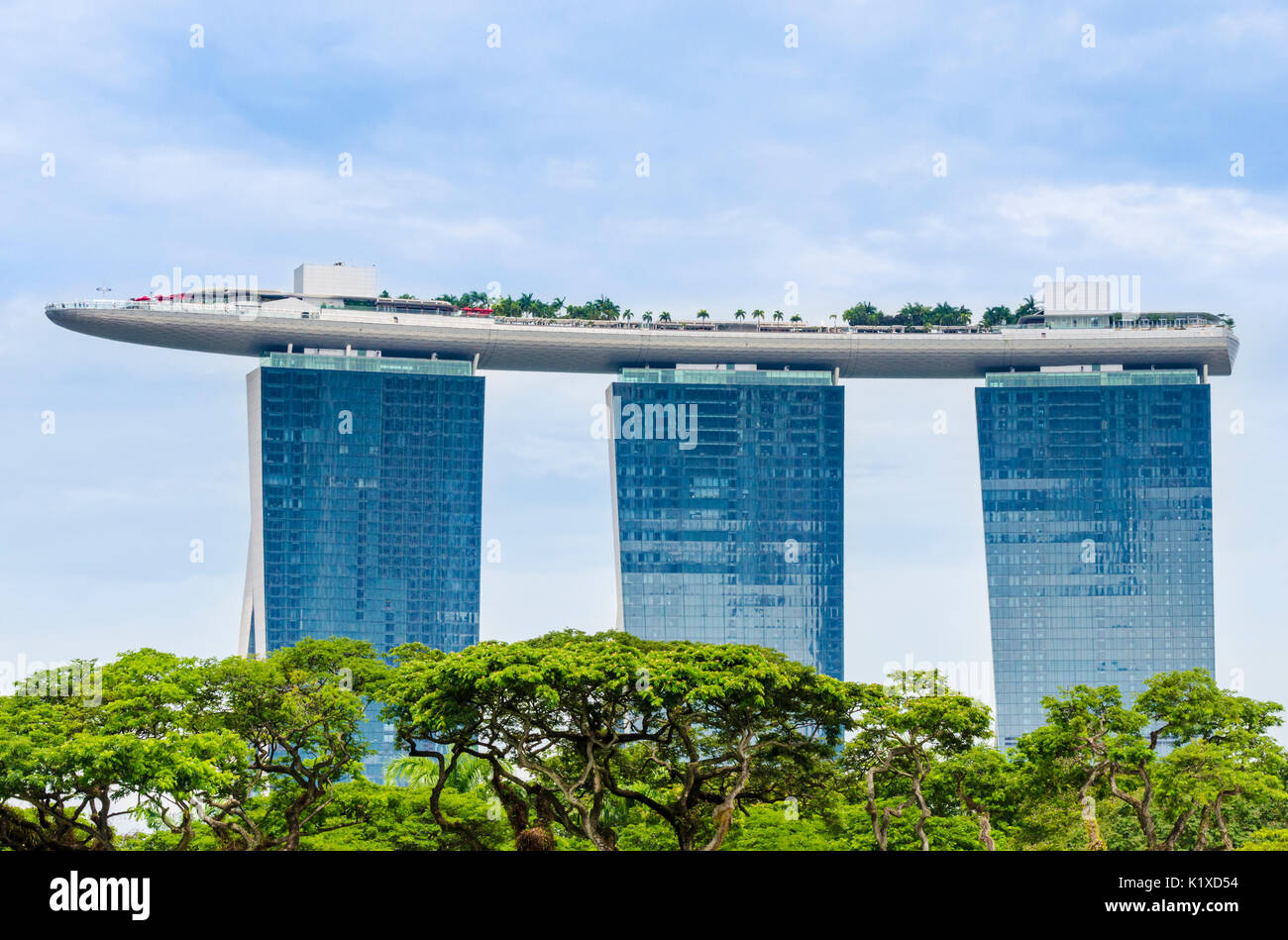 L'iconique de Singapour Marina Bay Sands à la recherche sur la cime des arbres à Singapour Banque D'Images