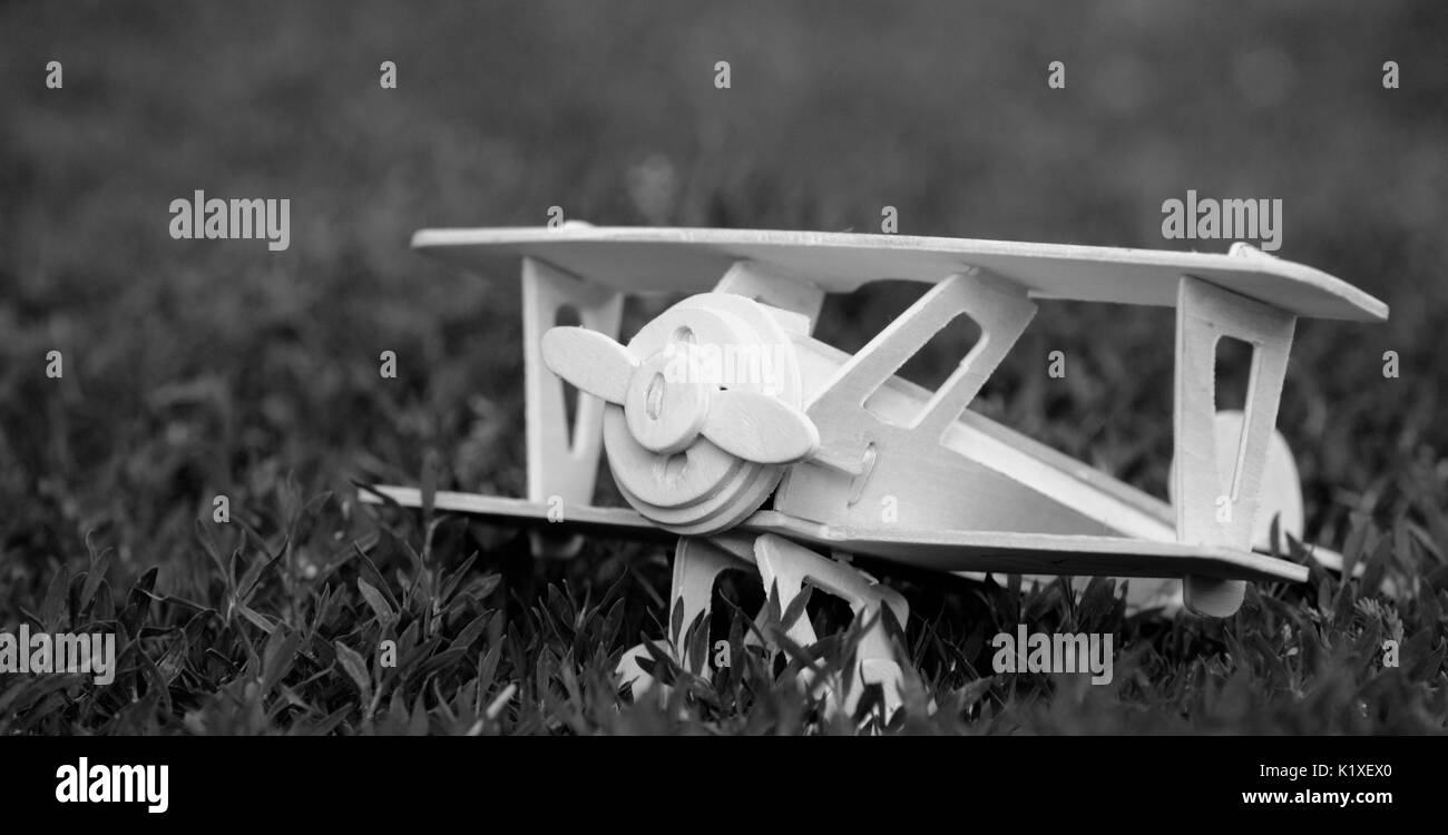 Un modèle d'un avion en bois sur l'herbe. Photo en noir et blanc Banque D'Images