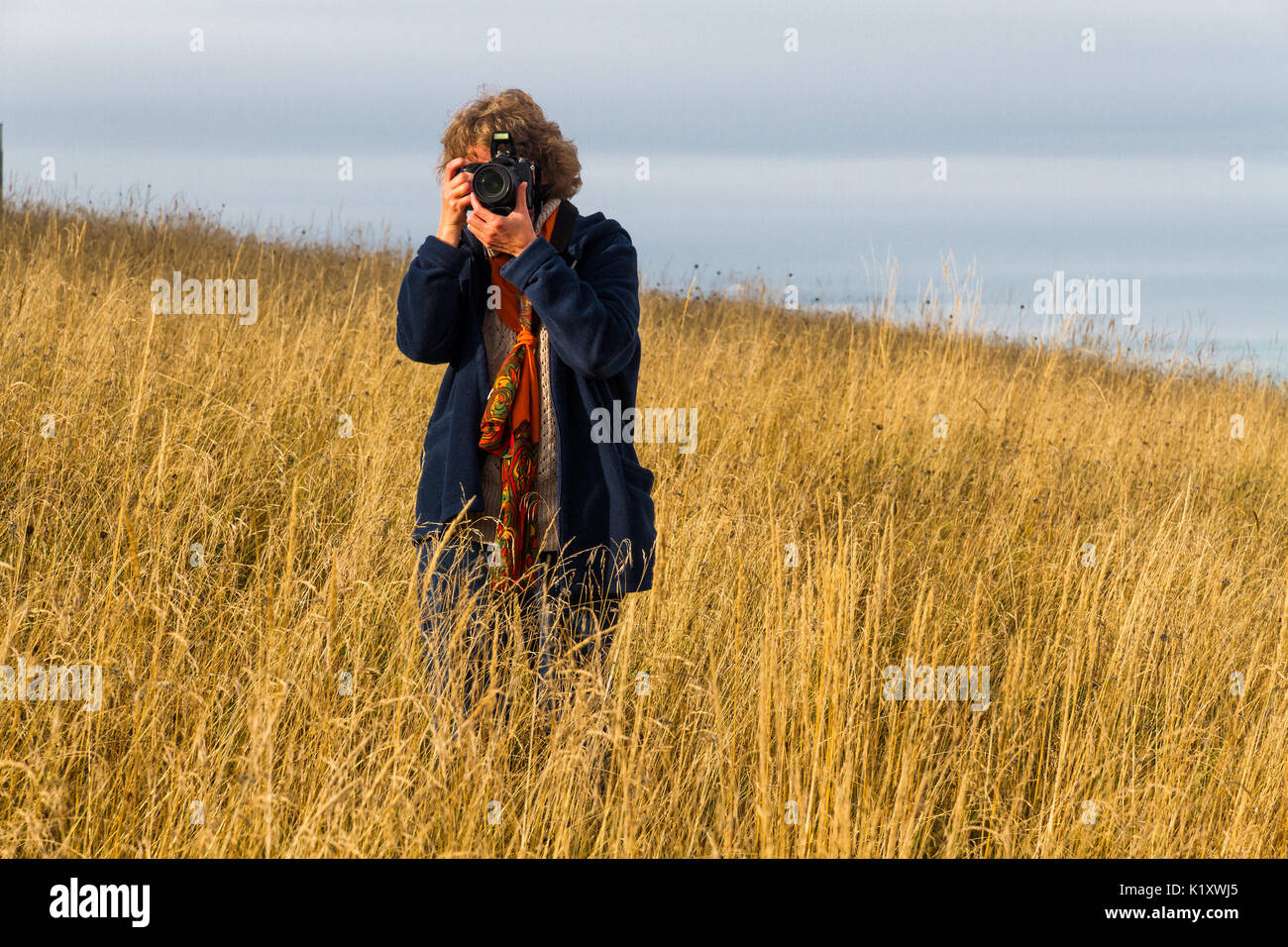 Jolie jolie blondy caucasian heureux succès girl avec l'appareil photo restant dans le paysage de l'herbe sèche quelqu'un tir. Banque D'Images