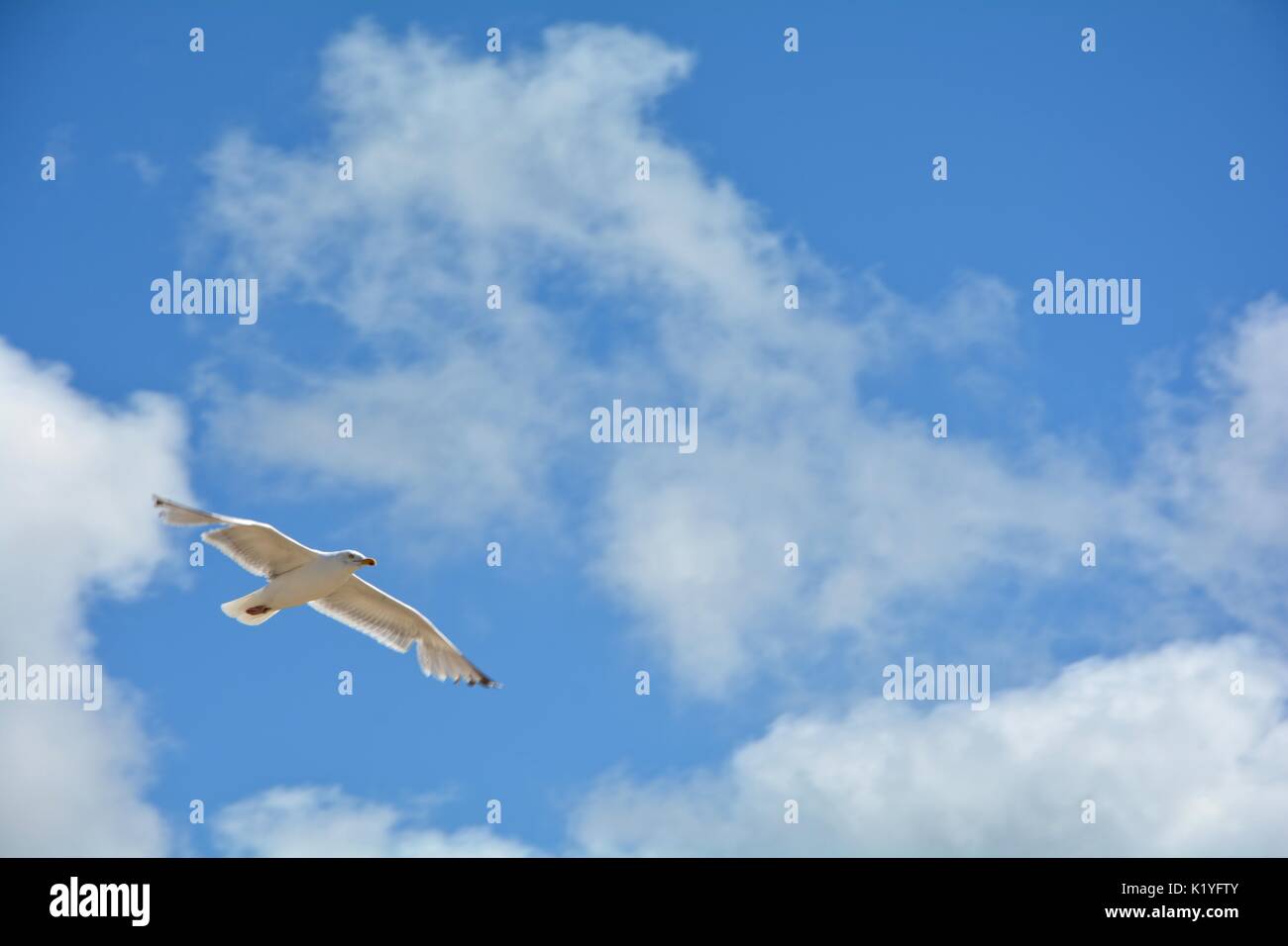 Cerclé avec beaucoup de ciel bleu et nuages Banque D'Images