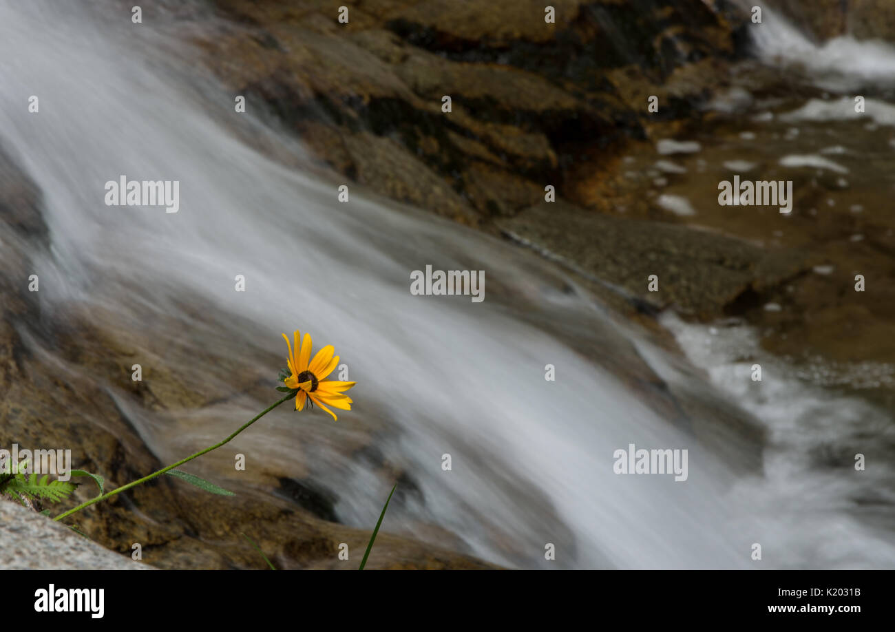 Cascades le long sentier du ruisseau Stag dans hiteface sur Mountain à Wilmington NY Banque D'Images