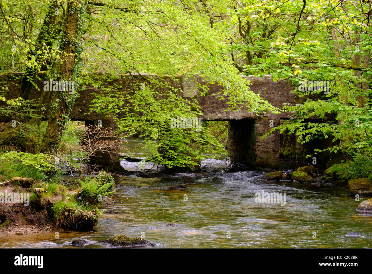 Golitha Falls, fleuve Fowey, pont au-dessus, près de Liskeard Bodmin Moor, Cornwall, Angleterre, Royaume-Uni Banque D'Images