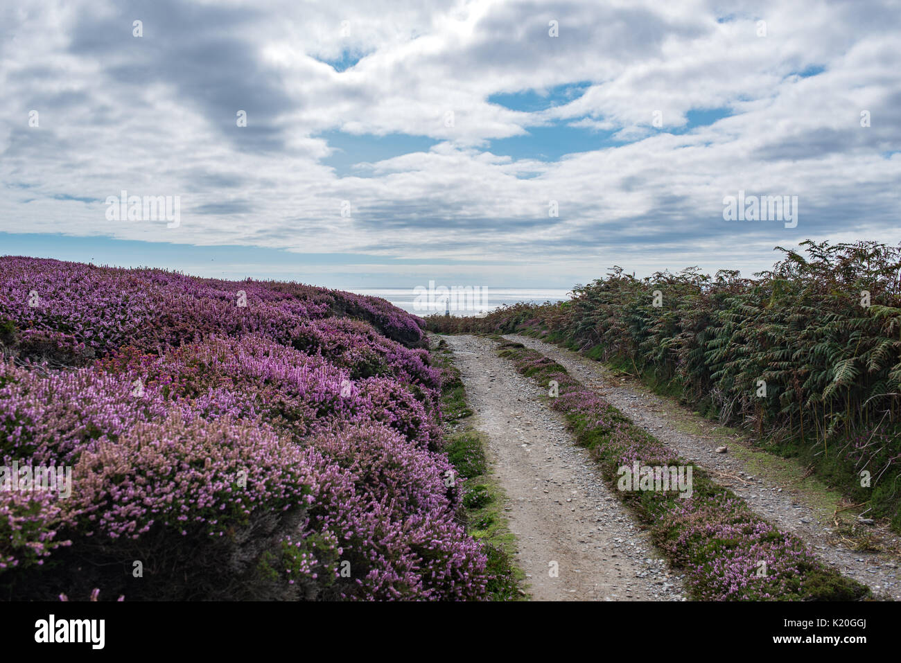 Route de boue au mollet de l'homme, vue sur mer et phare de roche de poulet Banque D'Images