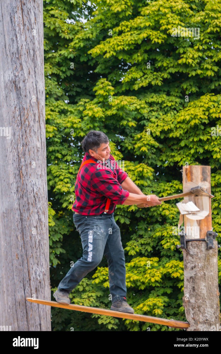 Homme avec Ax sur Springboard Chopping tronc de l'arbre de démonstration de compétence bûcheron Evergreen State Fair Monroe Washington Banque D'Images