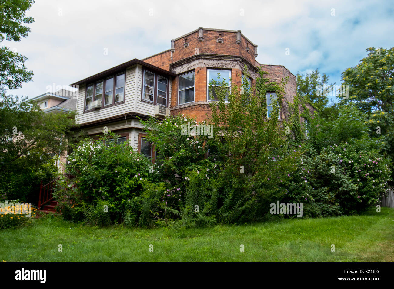 Balade autour de trouver des paysages remplis de plantes Banque D'Images