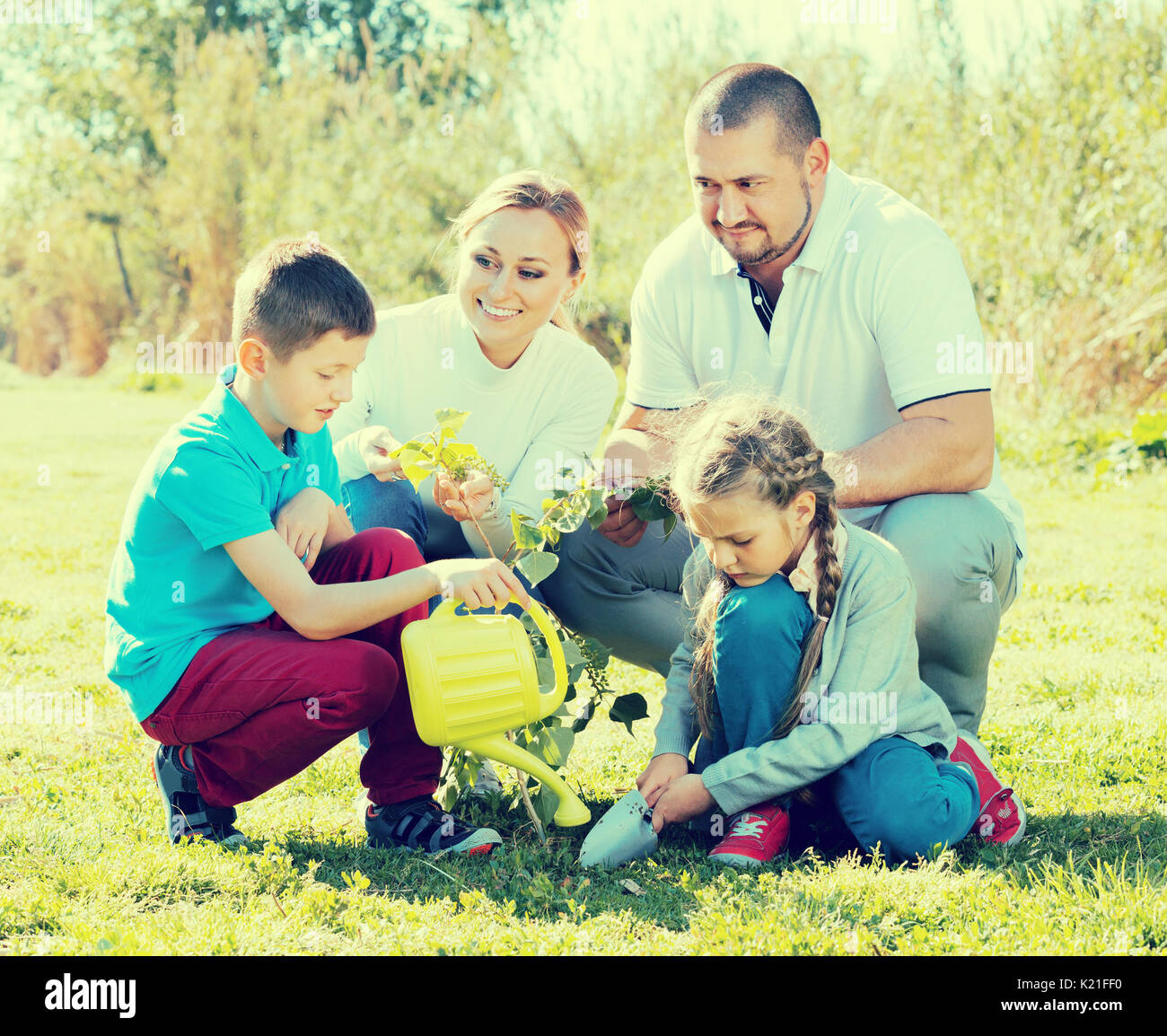Famille de quatre planter un arbre à l'extérieur dans un temps ensoleillé Banque D'Images