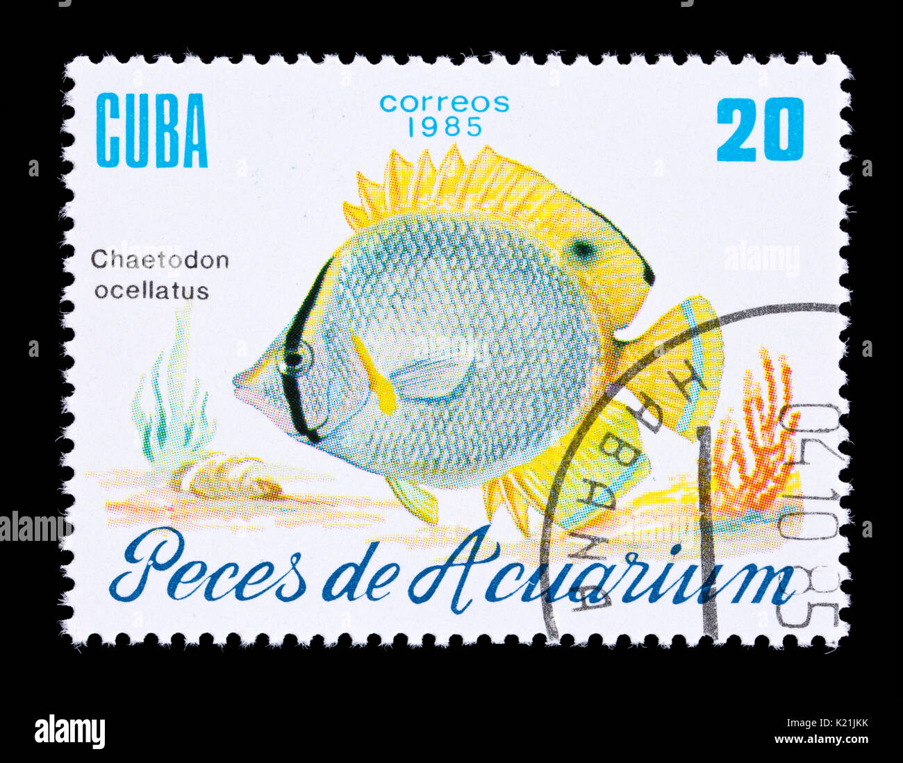 Timbre-poste de Cuba représentant un méné bleu médiocre (Chaetodon ocellatus) Banque D'Images
