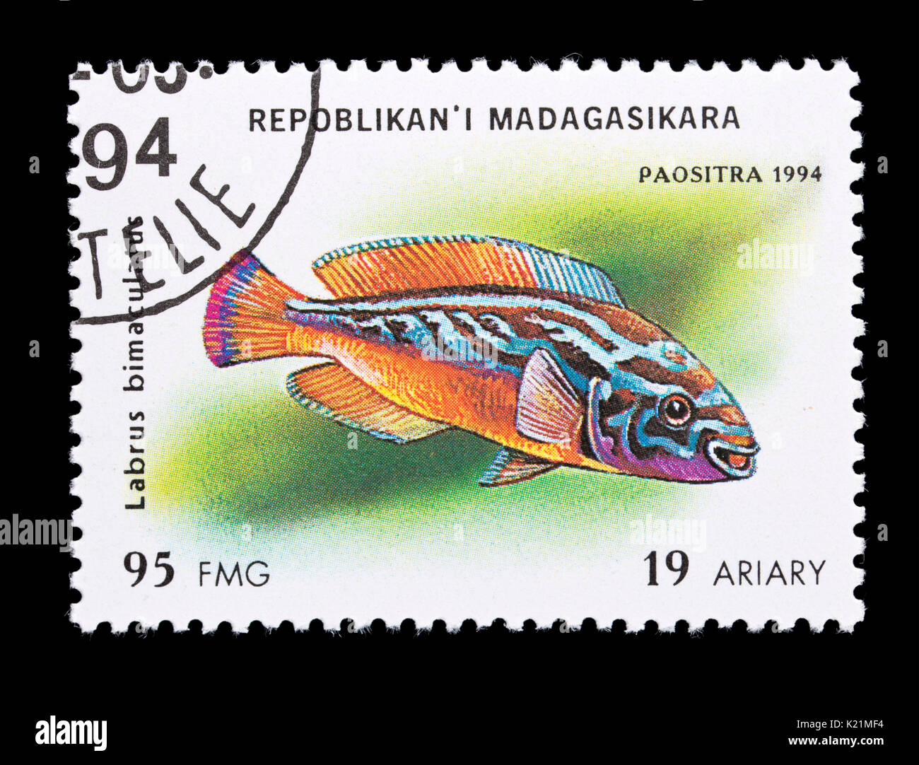 Timbre-poste de Madagascar représentant un cuckoo wrasse (Labrus bimaculalus) Banque D'Images