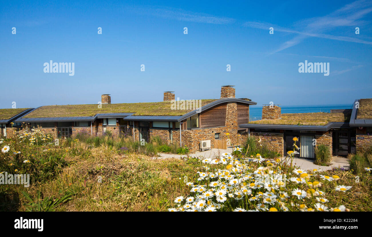 Maison moderne / bungalow avec toit de chaume isolation toit vivant / vert et noir tuyauterie pour le chauffage solaire de l'eau à Widemouth Bay, Cornwall, Angleterre Banque D'Images