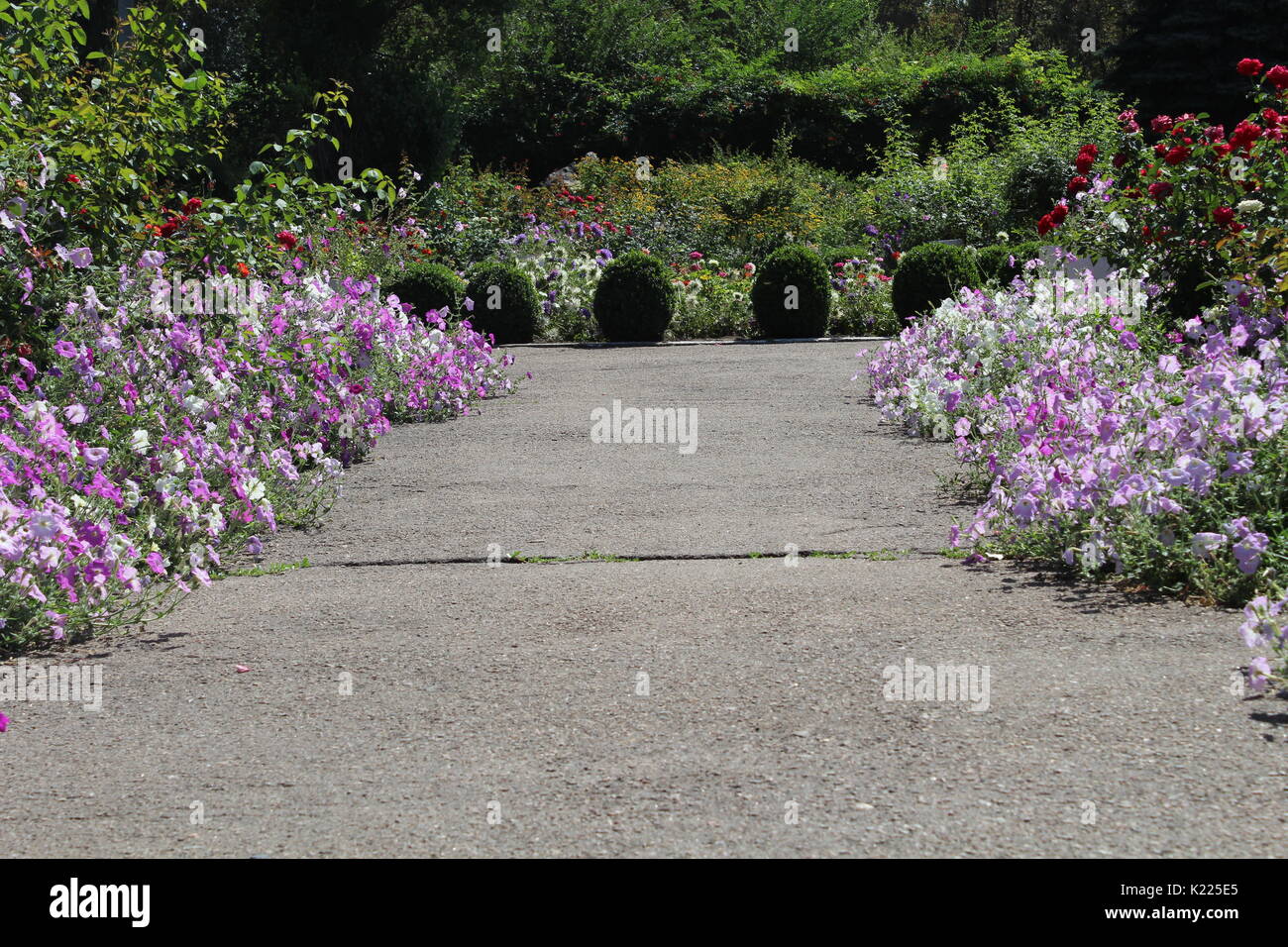 Fleurs et Jardin Banque D'Images