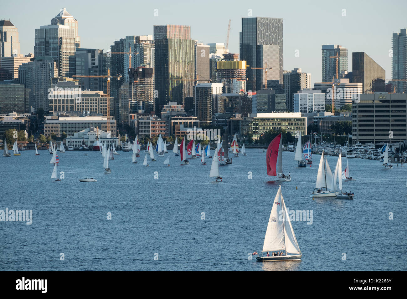 Duck Dodge voilier course sur le lac Union, Seattle, Washington, United States Banque D'Images