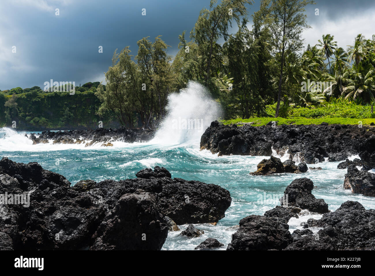 Surfez sur les roches volcaniques de frapper sur l'île de Maui, Hawaii Banque D'Images