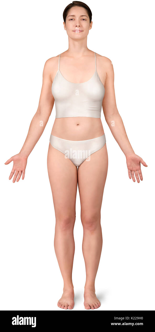 Cette image montre une vue antérieure de la morphologie de la femme. Banque D'Images