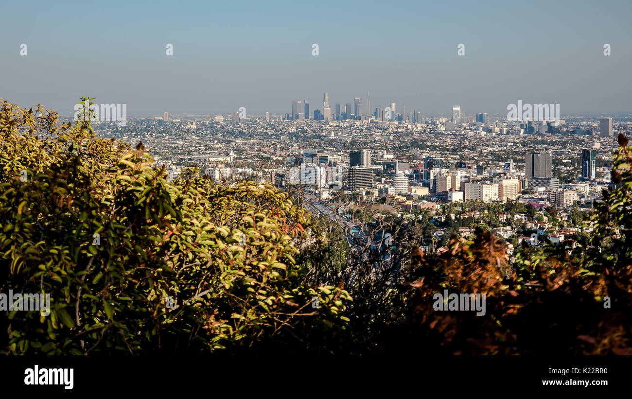 Los Angeles Skyline Banque D'Images