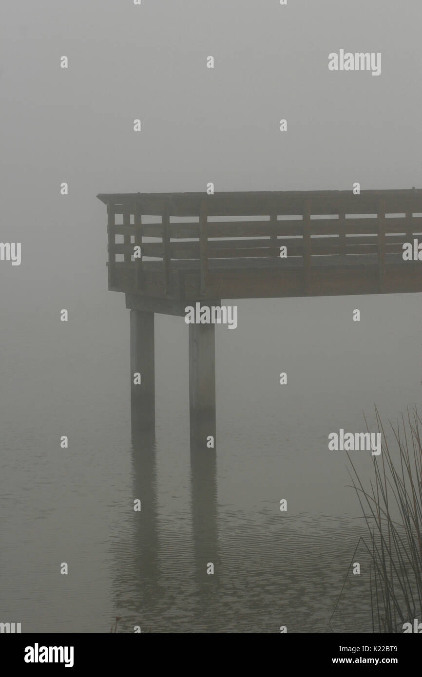 PIER ET BULL SE PRÉCIPITE ENTOURÉ DE BROUILLARD, TULE ANTIOCHE MARINA, Antioche, CALIFORNIE Banque D'Images