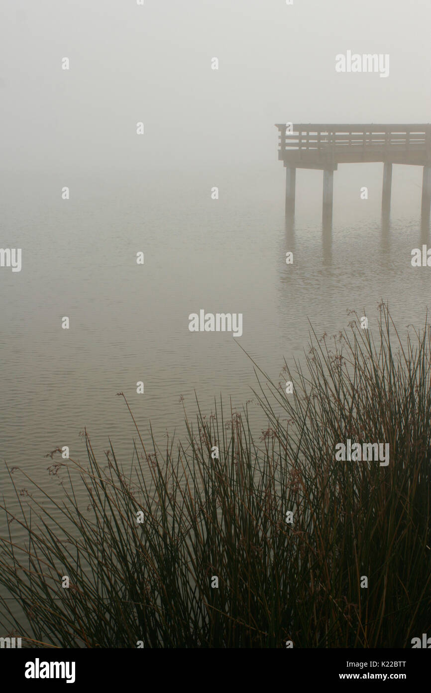 PIER ET BULL SE PRÉCIPITE ENTOURÉ DE BROUILLARD, TULE ANTIOCHE MARINA, Antioche, CALIFORNIE Banque D'Images