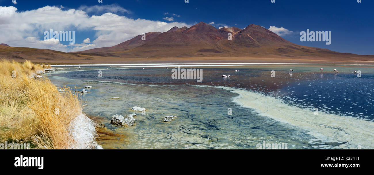 Desert Lake Laguna Cañapa sur l'Altiplano de Bolivie sur une journée ensoleillée. Banque D'Images